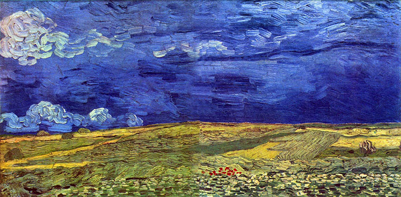 Wheatfield Under Clouded Sky